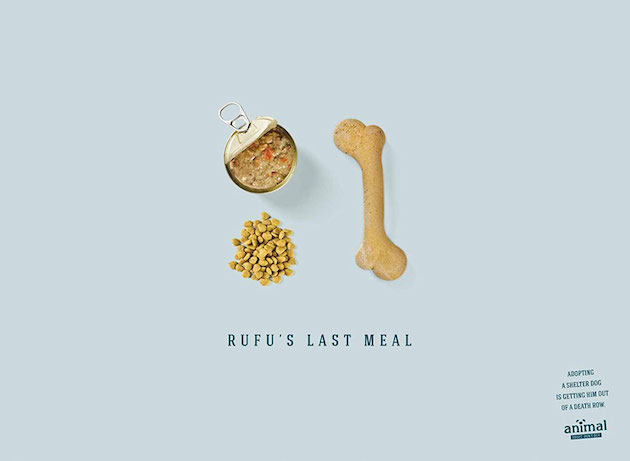 Animal Ads Feeldesain54