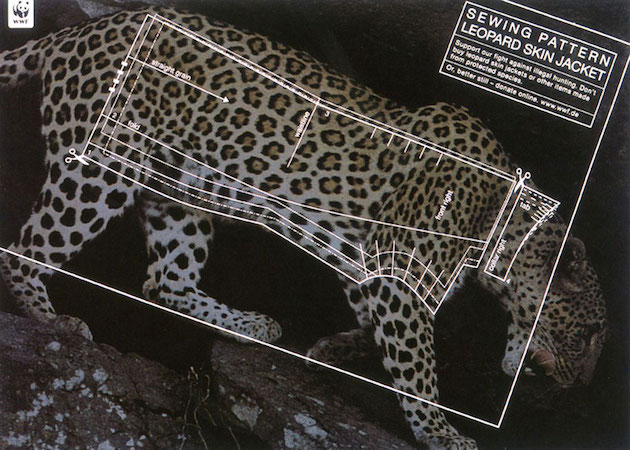 Animal Ads Feeldesain56