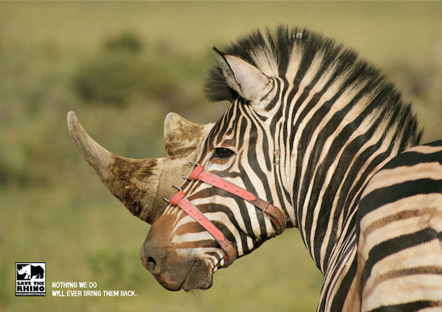 Animal Ads Feeldesain63
