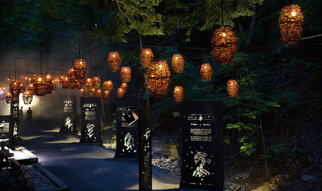 Foresta Lumina Feeldesain06