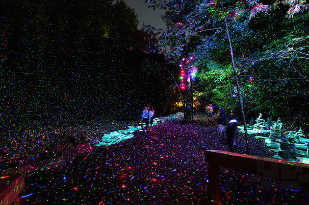 Foresta Lumina Feeldesain07