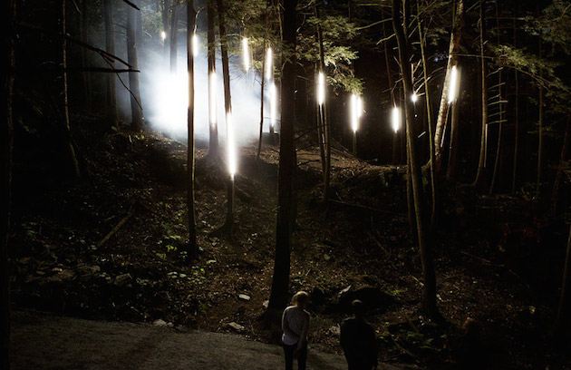Foresta Lumina Feeldesain08