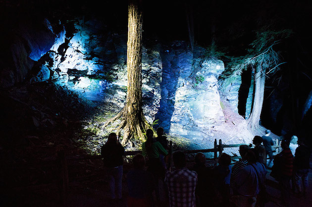 Foresta Lumina Feeldesain09