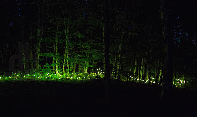 Foresta Lumina Feeldesain10