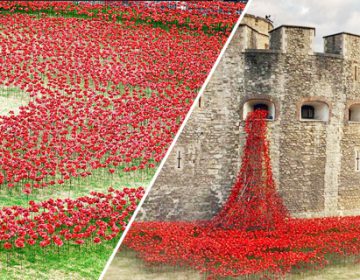 Blood Swept Lands and Seas of Red | Paul Cummins