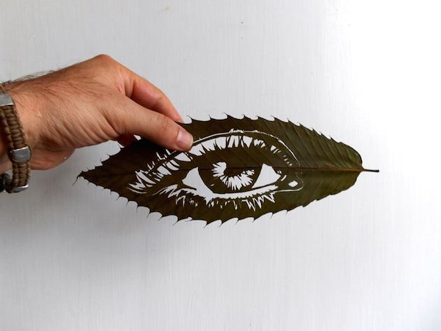 Hand cut leaf art | Omid Asadi Feeldesain02