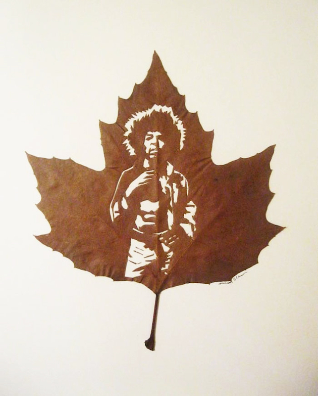 Hand cut leaf art | Omid Asadi Feeldesain04