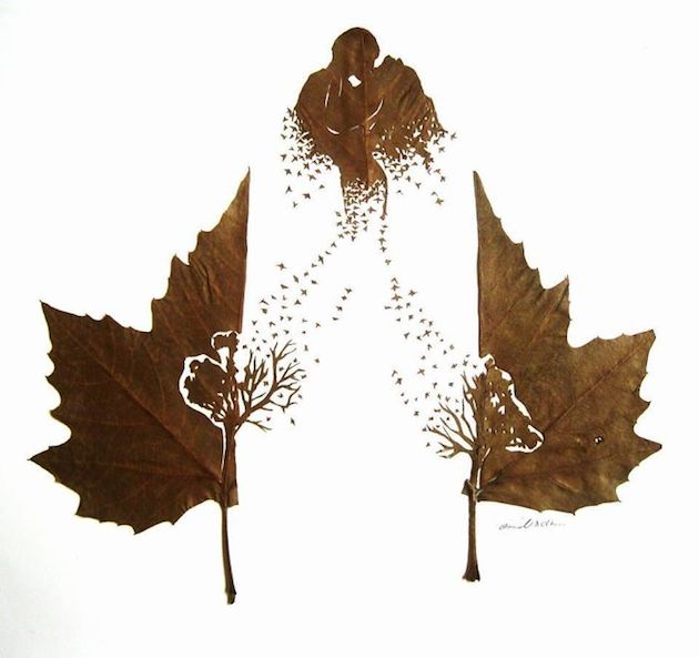 Hand cut leaf art | Omid Asadi Feeldesain06