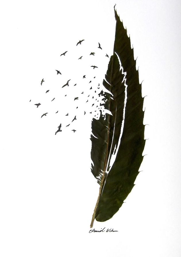 Hand cut leaf art | Omid Asadi Feeldesain07