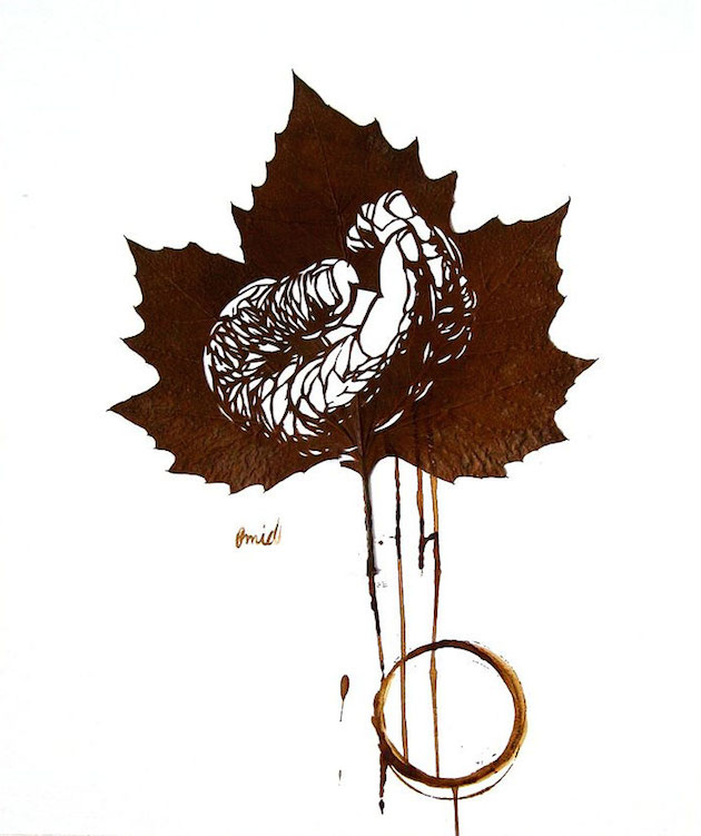 Hand cut leaf art | Omid Asadi Feeldesain11