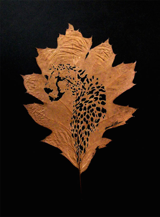 Hand cut leaf art | Omid Asadi Feeldesain13
