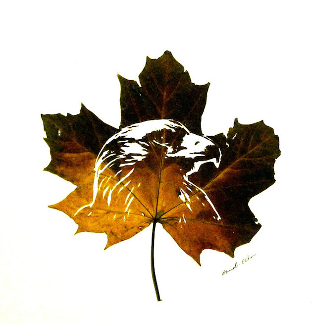 Hand cut leaf art | Omid Asadi Feeldesain14