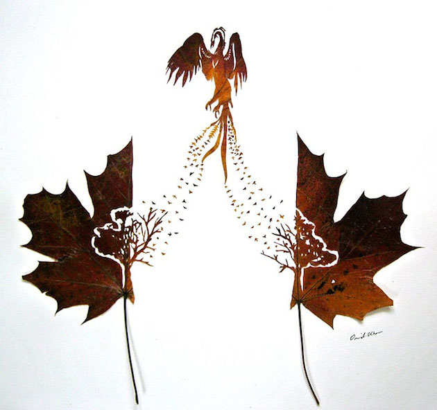 Hand cut leaf art | Omid Asadi Feeldesain15