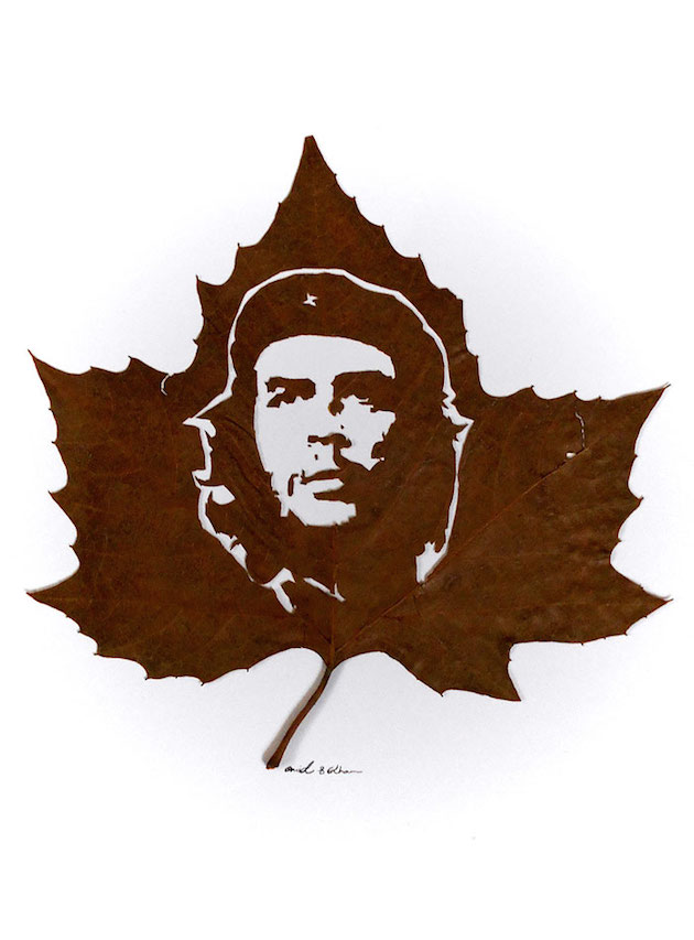 Hand cut leaf art | Omid Asadi Feeldesain16