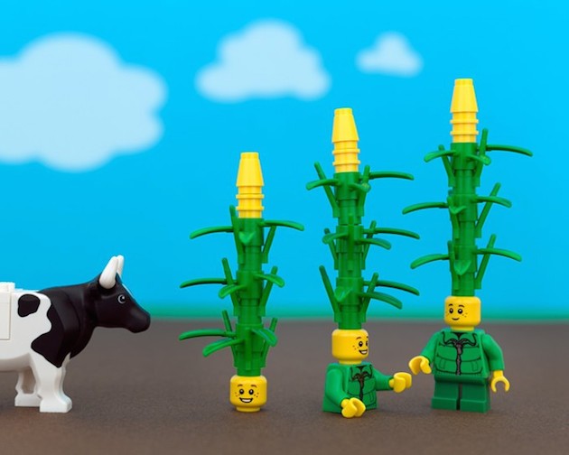 uslego_iowa_feeldesain