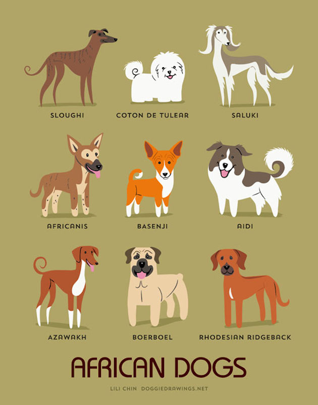 DogWorld_feeldesain_01