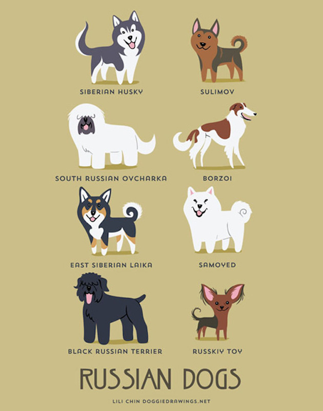 DogWorld_feeldesain_02
