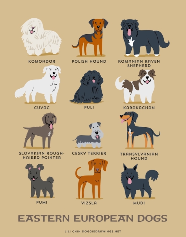 DogWorld_feeldesain_03