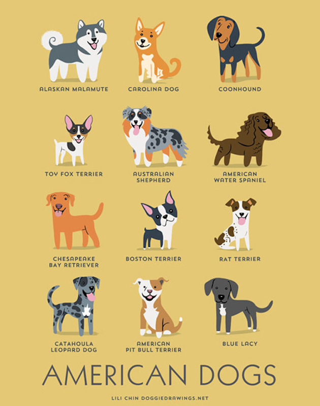 DogWorld_feeldesain_06