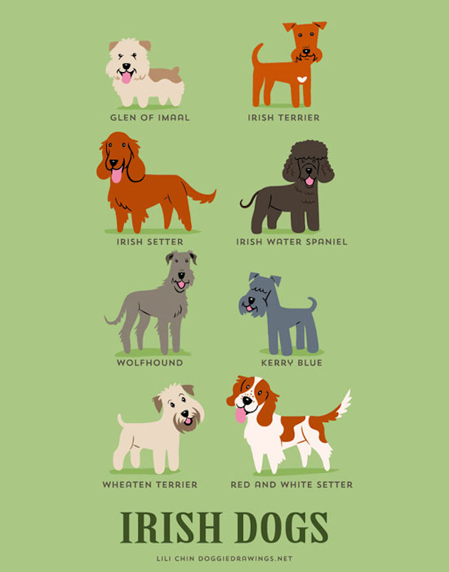 DogWorld_feeldesain_08