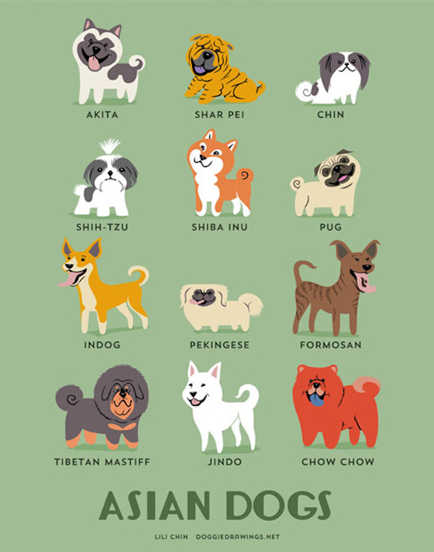 DogWorld_feeldesain_09