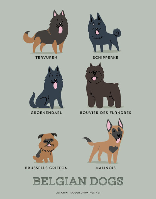 DogWorld_feeldesain_12