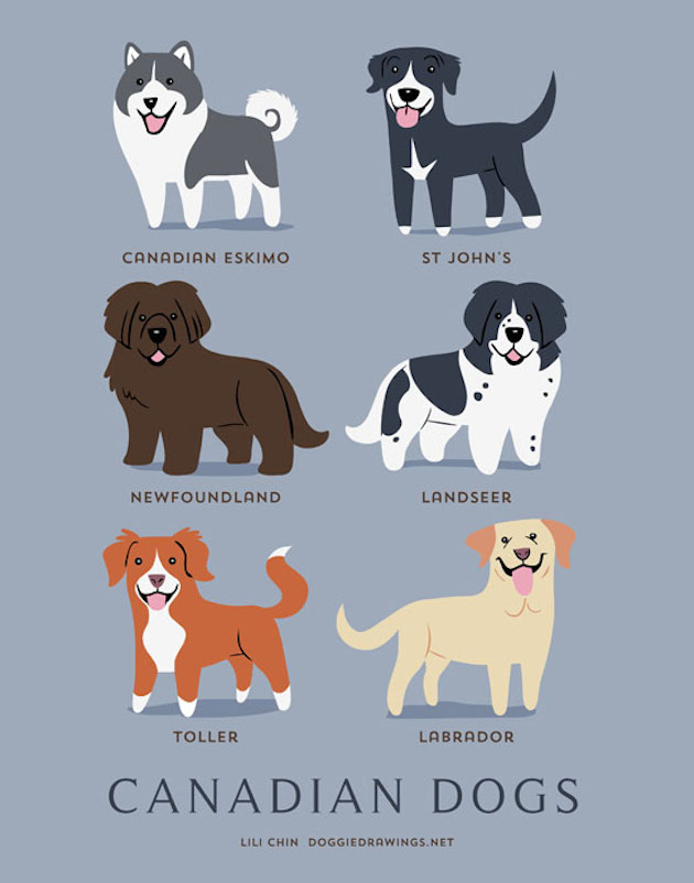 DogWorld_feeldesain_15