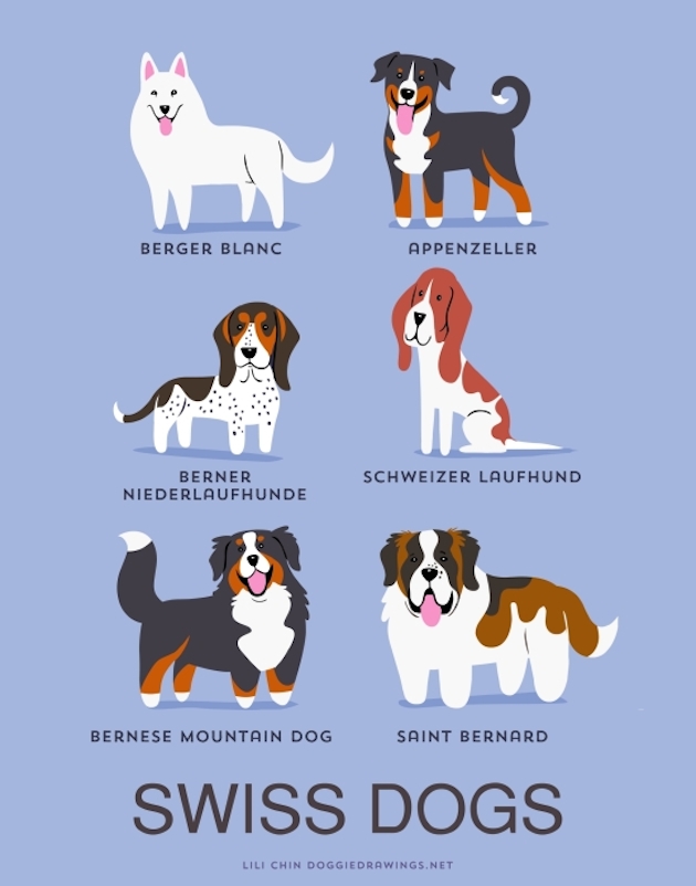 DogWorld_feeldesain_16