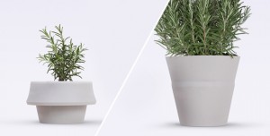 Fold Pot | Pizzolorusso