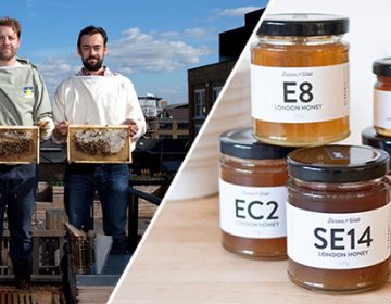 Save the Bees | Barnes & Webb