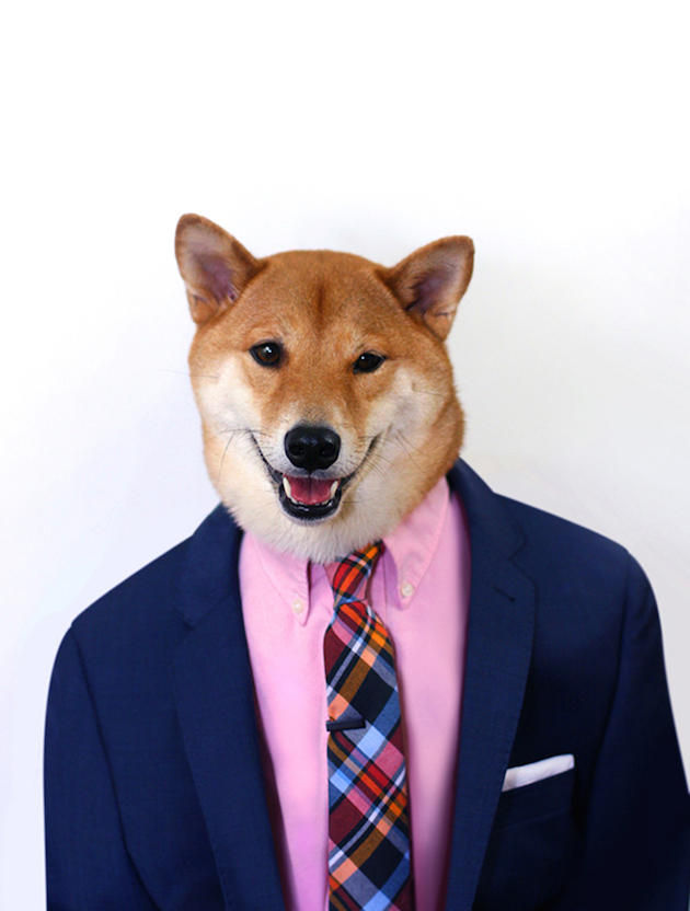 The Stylish Shiba Inu Who Makes $15,000 a Month Feel desain06