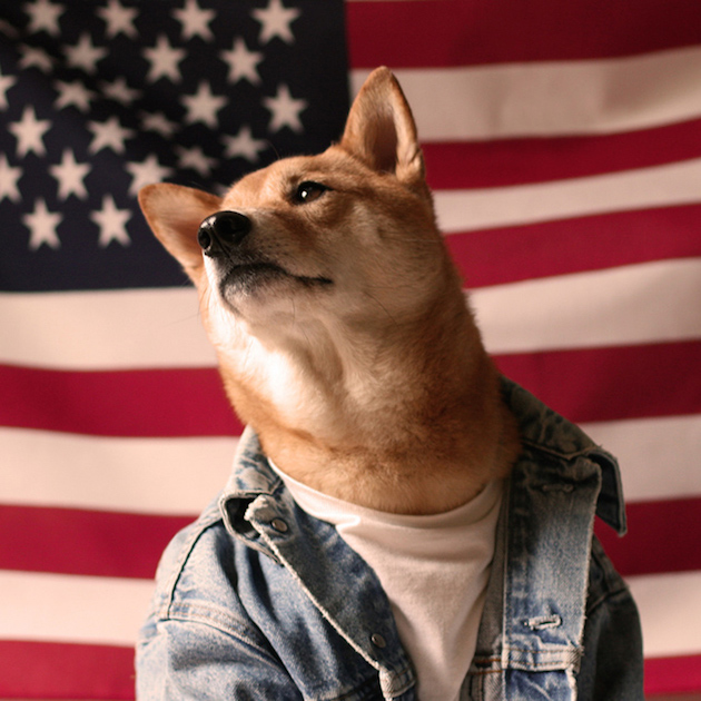 The Stylish Shiba Inu Who Makes $15,000 a Month Feel desain07