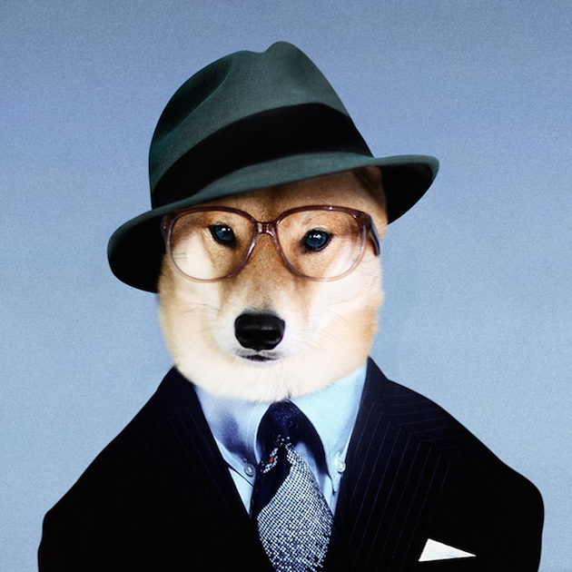 The Stylish Shiba Inu Who Makes $15,000 a Month Feel desain12