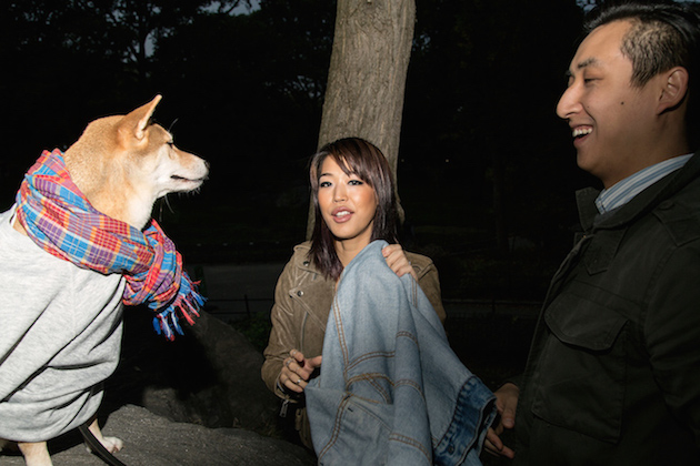 The Stylish Shiba Inu Who Makes $15,000 a Month Feel desain17