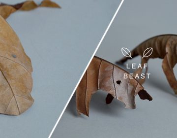 Leaf Beasts | Baku Maeda