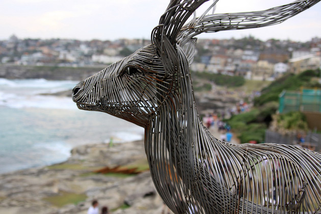 SteelAnimals_feeldesain_08