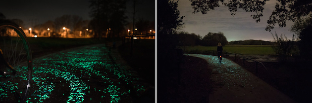 VanGogh_feeldesain_03