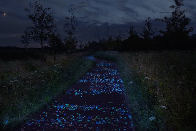 VanGogh_feeldesain_07