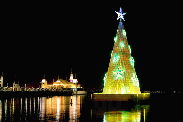 FloatingTree_feeldesain_06