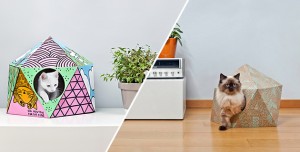 Cat Cube | Delphine Courier
