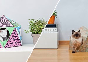 Cat Cube | Delphine Courier
