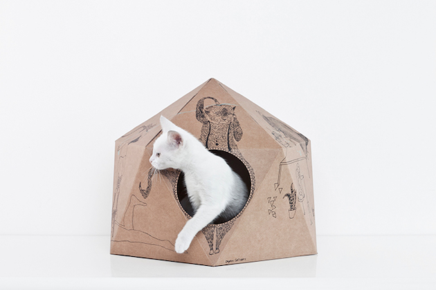 catcube_feeldesain_12
