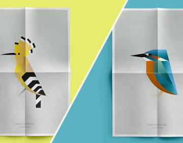 L’Albufera Bird Posters | Manuel Martín
