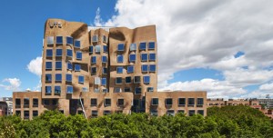 Paper Bag Business School | Frank Gehry