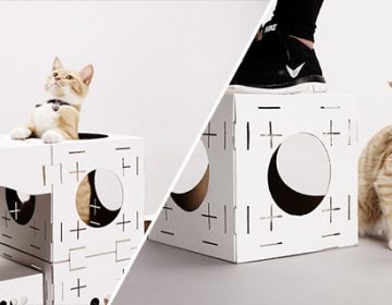 BLOCKS cat playhouse | Poopy Cat