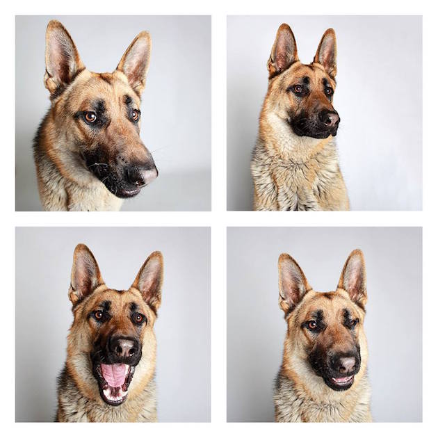 DogsPhotobooth_feeldesain_18
