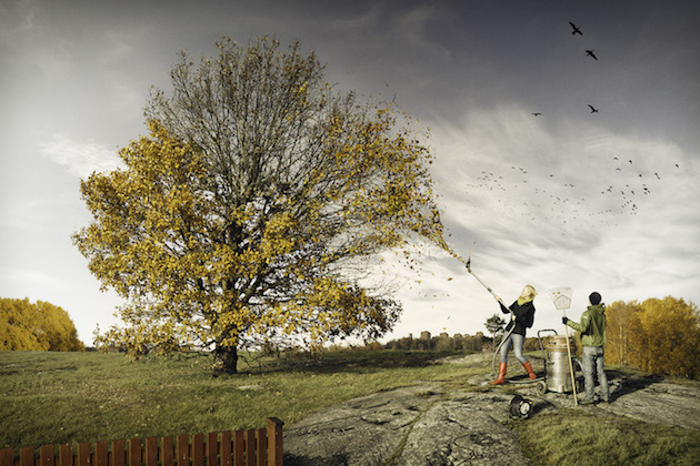 PhotoManipulation_feeldesain_06