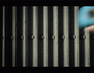 A true competitor for the Selfie Stick | Podo