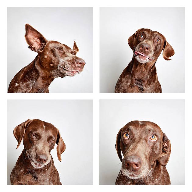 DogsPhotobooth_feeldesain_23