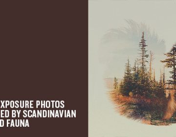 Double exposure animal images | Andreas Lie